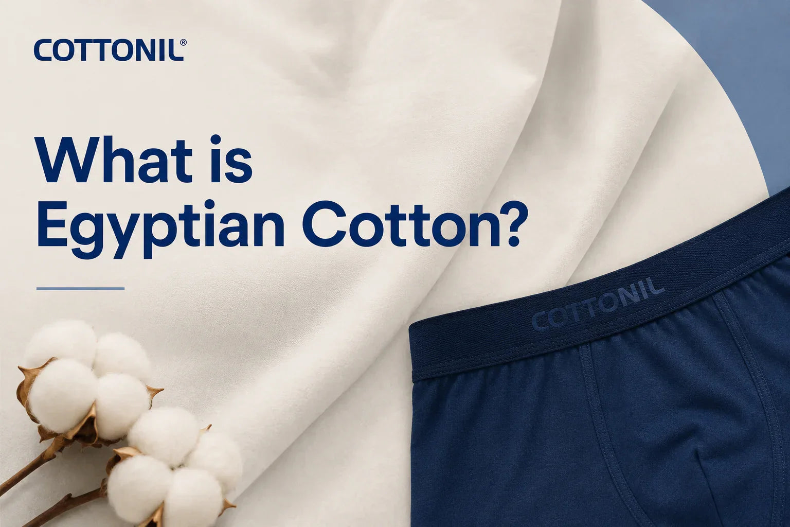 What is Egyptian Cotton? And Why It Makes the Best Underwear You'll Ever Wear